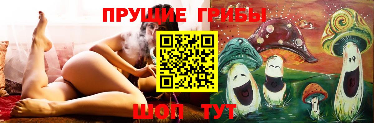 Псилоцибиновые грибы прущие грибы  Вход с VPN  Электросталь 